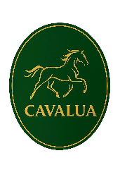 Cavalua